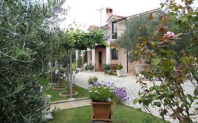 Apartments Mirjana